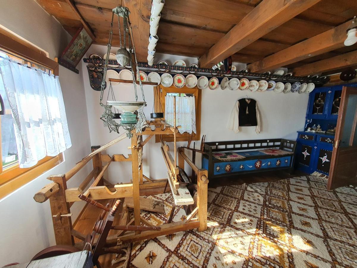 La Romaneasa Săpînţa Dış mekan fotoğraf