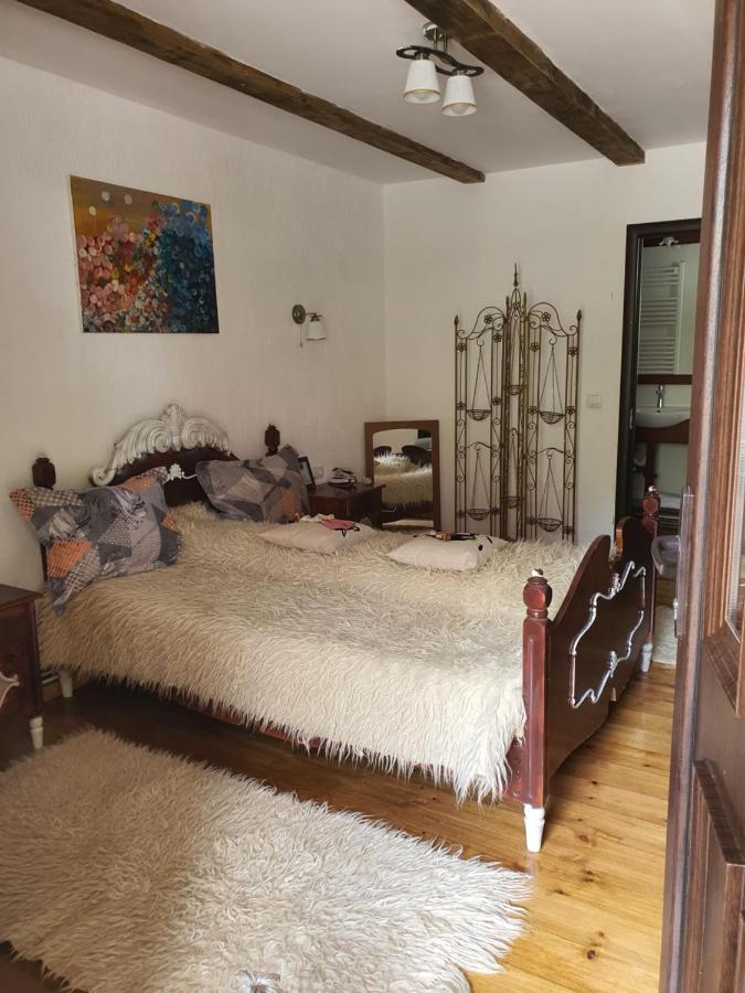 La Romaneasa Săpînţa Dış mekan fotoğraf
