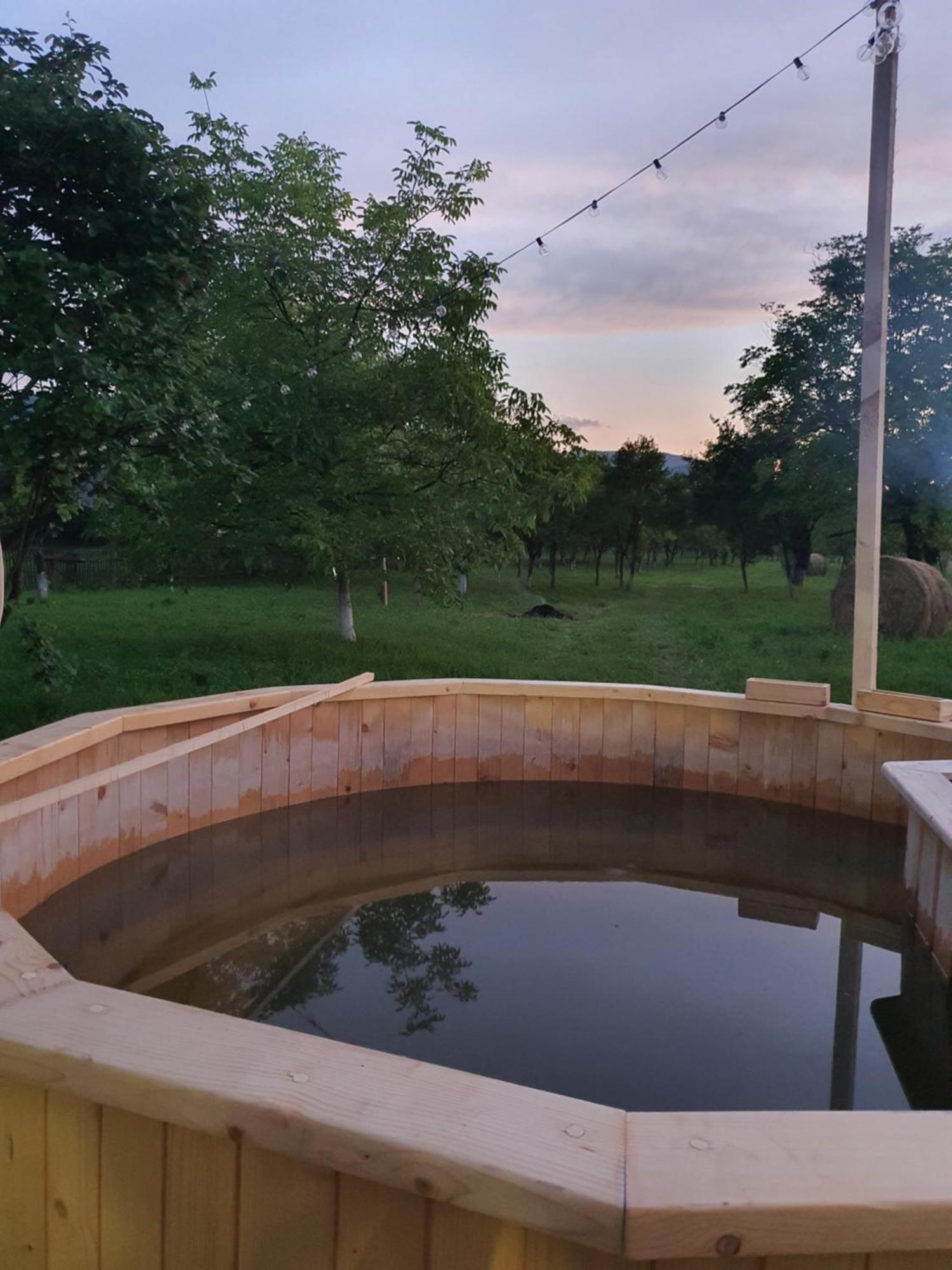 La Romaneasa Săpînţa Dış mekan fotoğraf