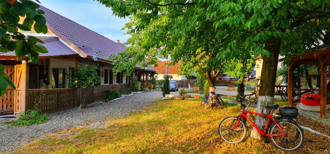 La Romaneasa Săpînţa Dış mekan fotoğraf