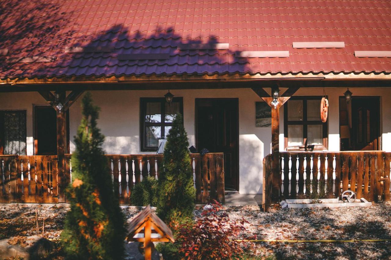 La Romaneasa Săpînţa Dış mekan fotoğraf