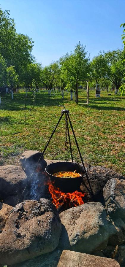 La Romaneasa Săpînţa Dış mekan fotoğraf