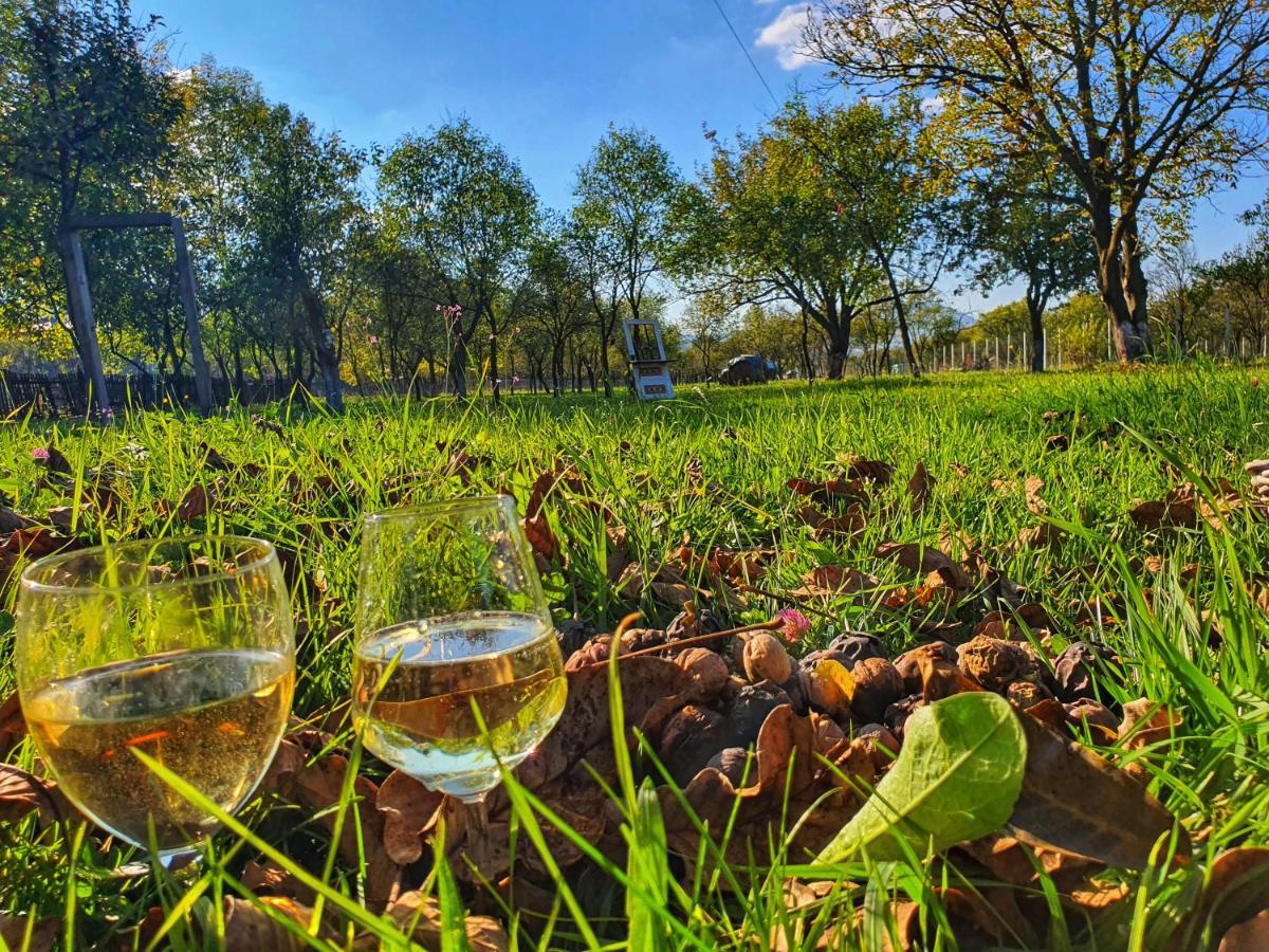 La Romaneasa Săpînţa Dış mekan fotoğraf