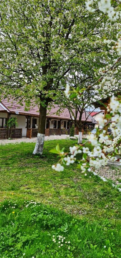 La Romaneasa Săpînţa Dış mekan fotoğraf