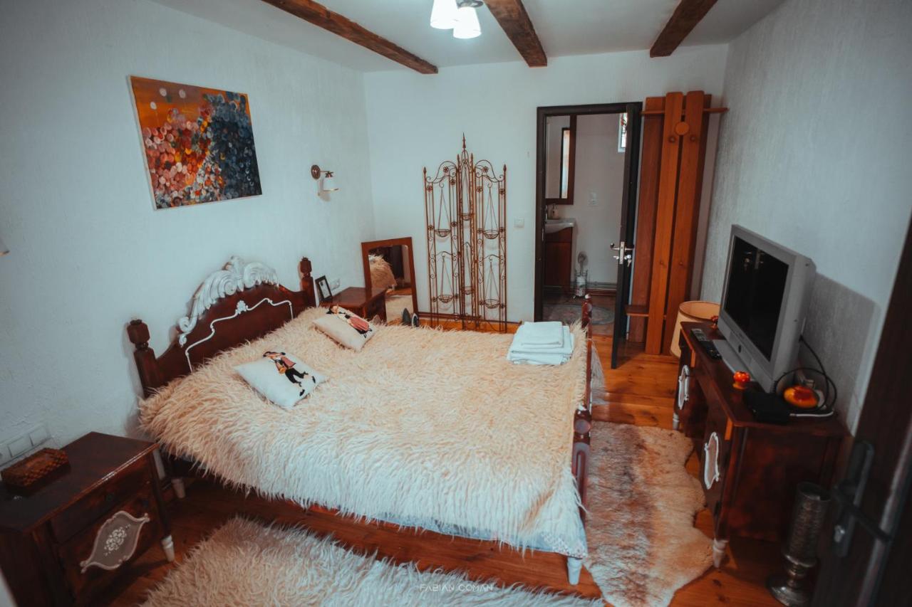 La Romaneasa Săpînţa Dış mekan fotoğraf